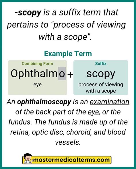 Scopy Medical Term