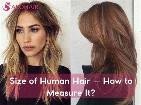 Size Of Human Hair How To Measure It Apohair Size Of Human Hair How To Measure It Apohair