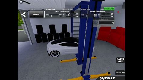 Southwest Florida Tesla Tune Expert