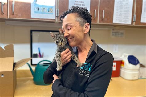 Understanding SPCA Monterey: A Guide to Its Mission and Services