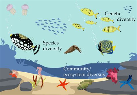 Species Diversity Definition