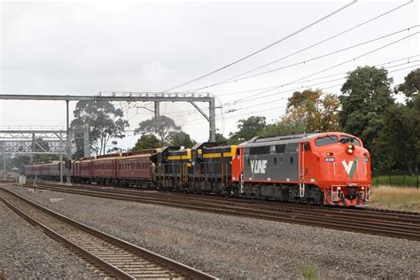 Understanding SRHC: A Simple Guide to Its Meaning and Importance