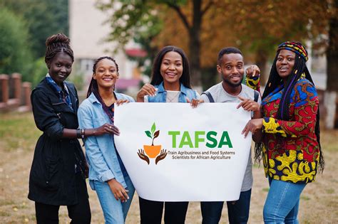 Tafsa Achieves 85% Employment Rate Among Graduates
