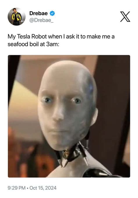 Tesla Bot Funny Memes