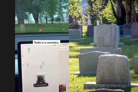 5 Secrets Tesla Cemetery