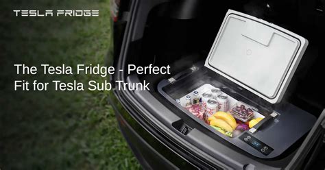 5 Tesla Fridge Hacks