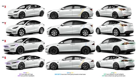 5 Tesla Model Differences
