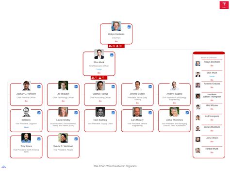 Tesla Motors Organizational Structure