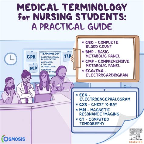 The Importance Of Medical Terminology In Nursing The Importance Of Medical Terminology In Nursing