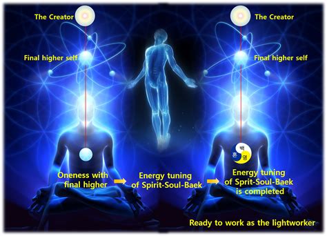 The Tree Of Life In The Light Energy Tuning Of Spirit Soul Body Baek The Tree Of Life In The Light Energy Tuning Of Spirit Soul Body Baek
