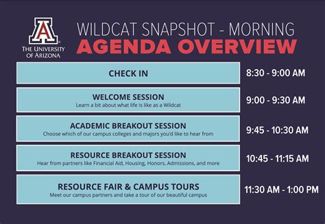 The Wildcat Snapshot