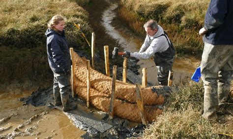 To Save Salt Marshes Researchers Deploy A Wide Arsenal Of Techniques To Save Salt Marshes Researchers Deploy A Wide Arsenal Of Techniques