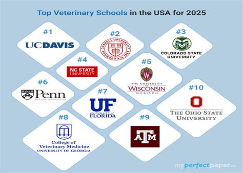 Top 12 Vet Schools In The Us For 2025 Rankings Admission Details Amber