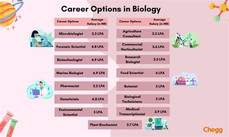 Top 5 Marine Biology Careers To Pursue In 2025 Top 5 Marine Biology Careers To Pursue In 2025
