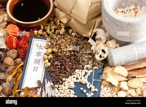 Traditional Chinese Medicine Everything About Chinese Herbal Medicine Traditional Chinese Medicine Everything About Chinese Herbal Medicine