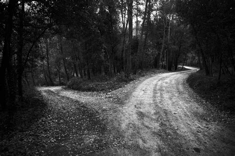 Two Paths Black And White Two Paths Black And White
