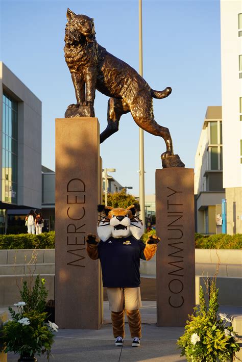 Uc Merced Unveils Big Rufus A Monument To Resilience Diversity And