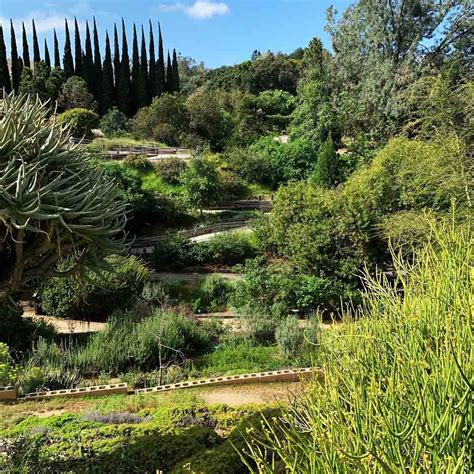 UCR Botanical Gardens Debunk the Myth of Limited Plant Diversity