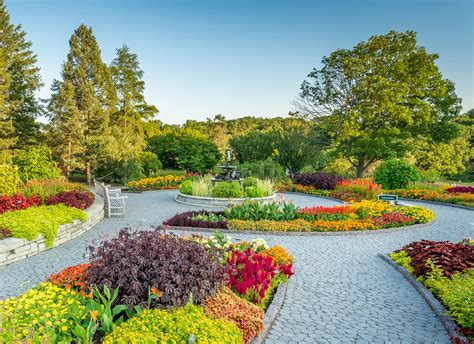 University Of Minnesota Arboretum