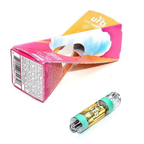 Unlocking Urban Innovation: The Future of urb Development