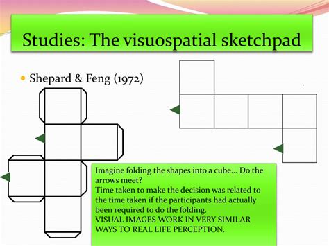Mastering Your Mind: The Power of the Visual Spatial Sketchpad