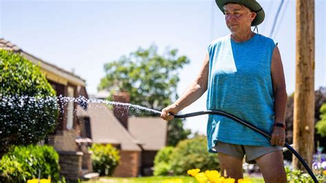 Water Managers: Guardians of Every Drop