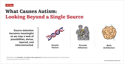 What Causes Autism A Detailed Breakdown 2025