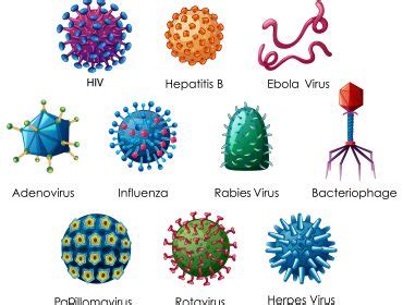 What Is A Viral Std Breaking Down The Facts Stdcheck Com What Is A Viral Std Breaking Down The Facts Stdcheck Com