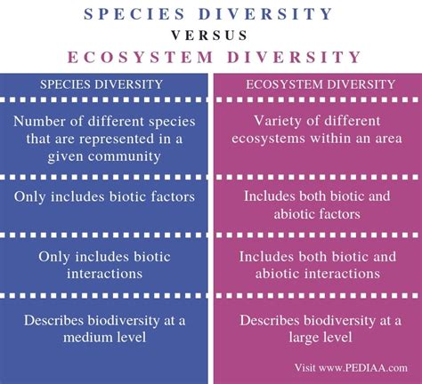 What Is The Difference Between Species Diversity And Ecosystem What Is The Difference Between Species Diversity And Ecosystem