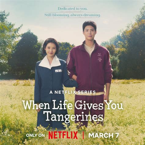 When Life Gives You Tangerines Release Date: A Sweet New Beginning