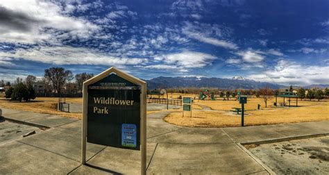 Explore the Beauty of Wildflower Park: A Hidden Natural Retreat