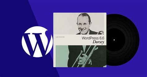 Unlocking the Future: WordPress 6.6 Release Date as a New Dawn for Your Website